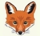 Windell Fox Webdesign